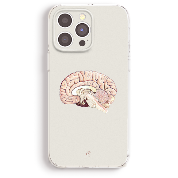 a detailed illustration of a human brain on a phone case.