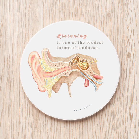 耳道解剖圖陶瓷杯墊