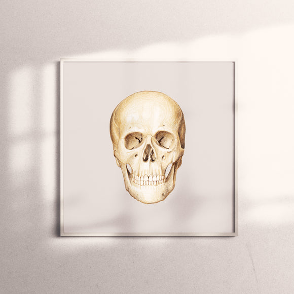 複製畫-Skull Facade